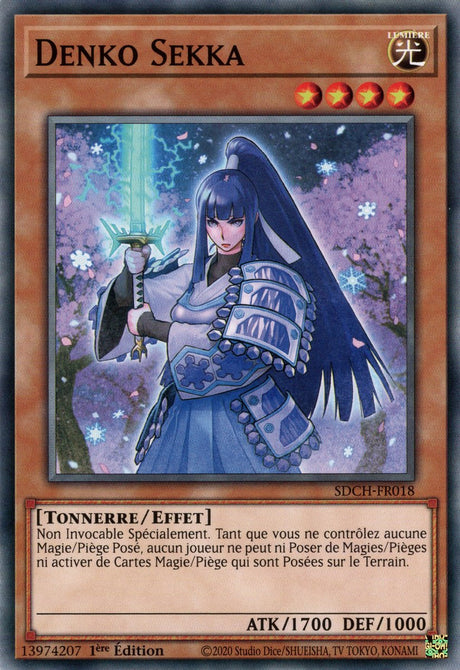 Denko Sekka : SDCH-FR018 C