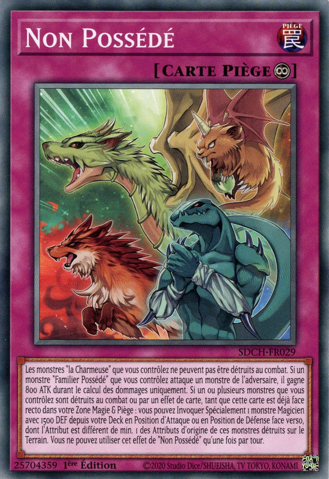 Non Possédé : SDCH-FR029 C