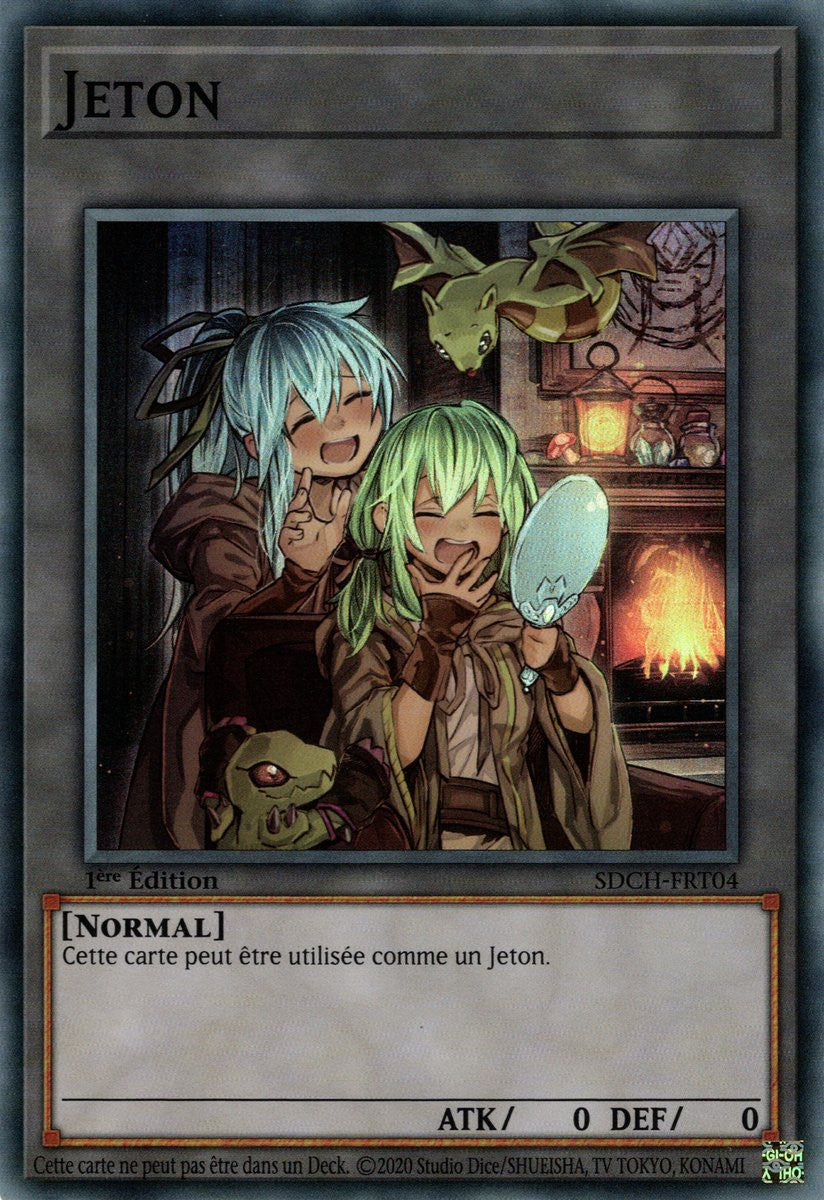 Jeton (V.4) - SDCH-FRT04 SR