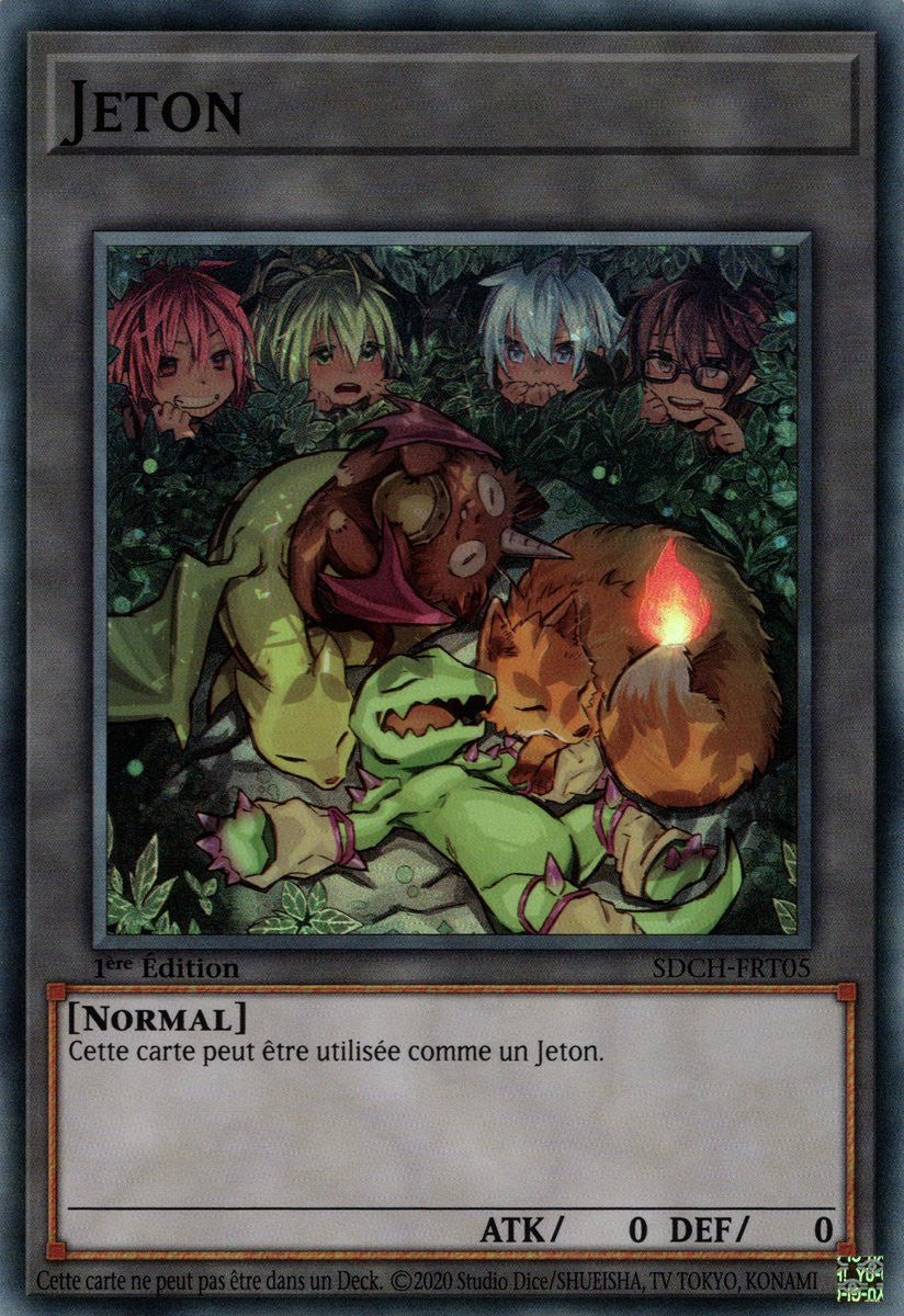 Jeton (V.5) - SDCH-FRT05 SR