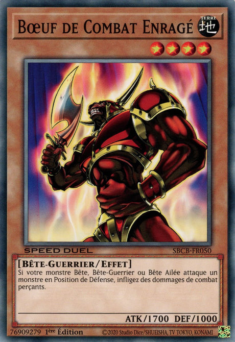 Bœuf de Combat Enragé : SBCB-FR050 C