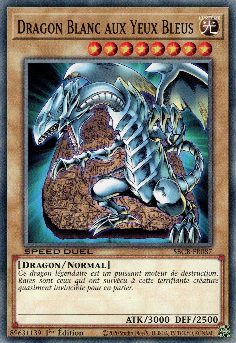 Dragon Blanc aux Yeux Bleus : SBCB-FR087 C