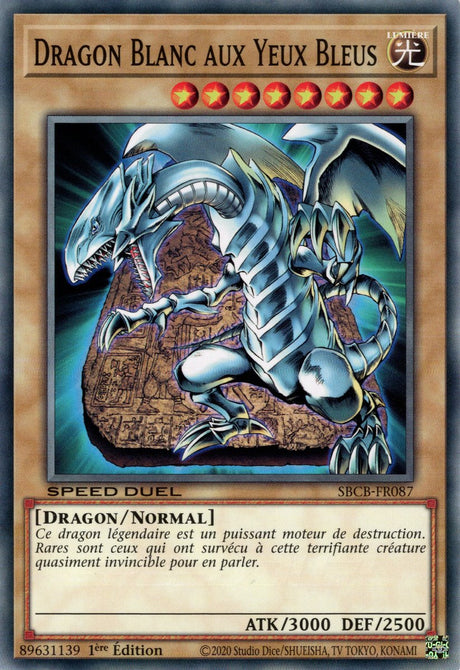 Dragon Blanc aux Yeux Bleus : SBCB-FR087 C