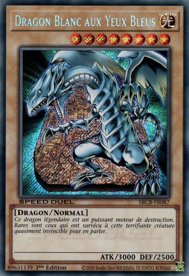 Dragon Blanc aux Yeux Bleus : SBCB-FR087 SE (V.2)