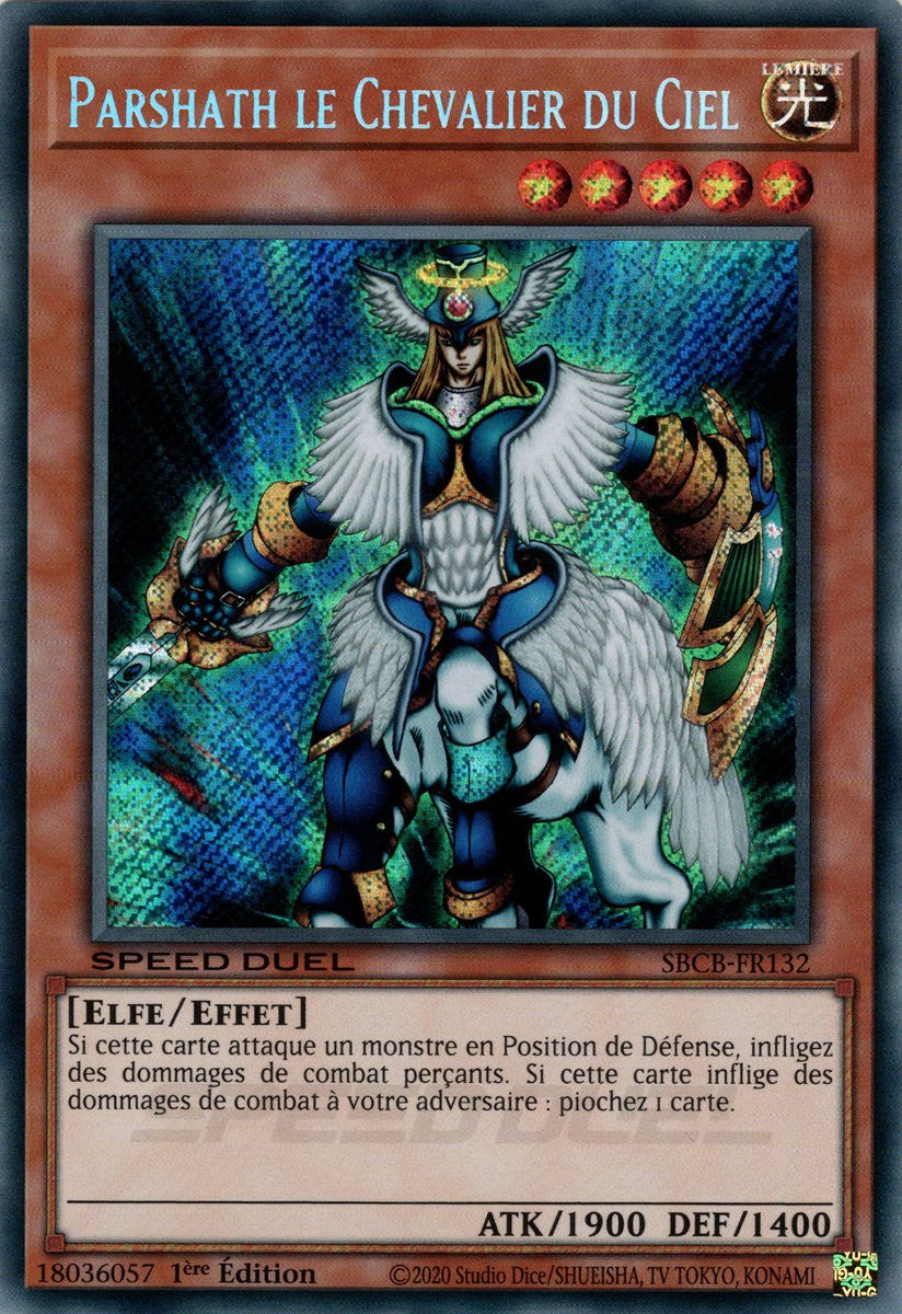 Parshath le Chevalier du Ciel : SBCB-FR132 SE (V.2)