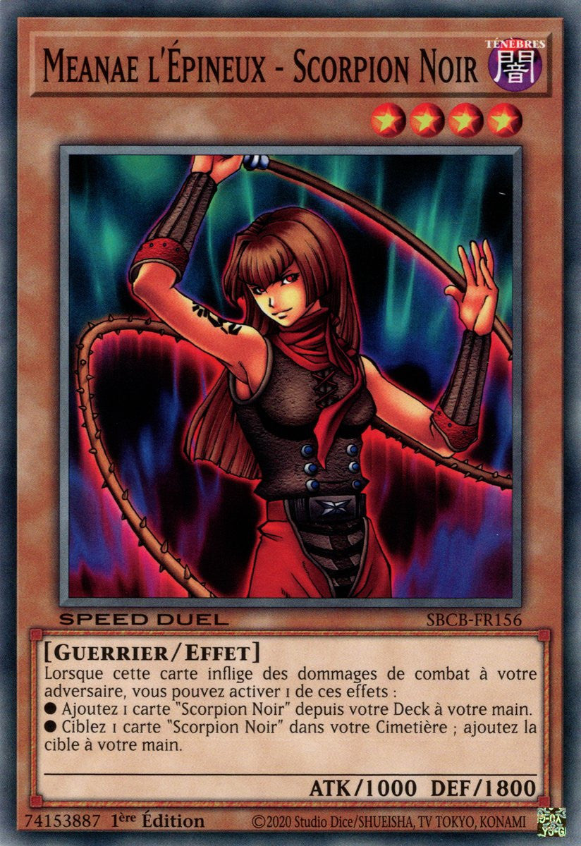 Meanae l'Épineux - Scorpion Noir : SBCB-FR156 C