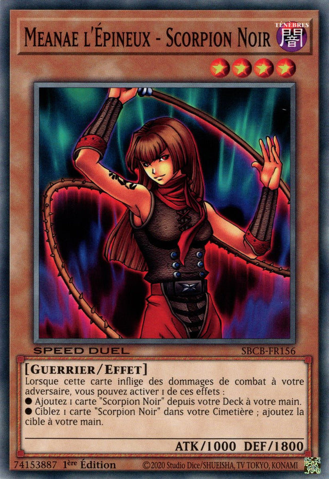 Meanae l'Épineux - Scorpion Noir : SBCB-FR156 C