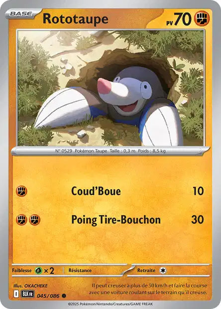Rototaupe (BLK 045) - Foudre Noire - Carte Pokémon EV10.5