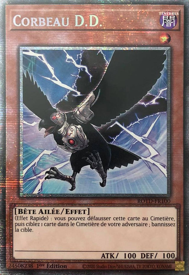 Corbeau D.D. ROTD-FR100 STR
