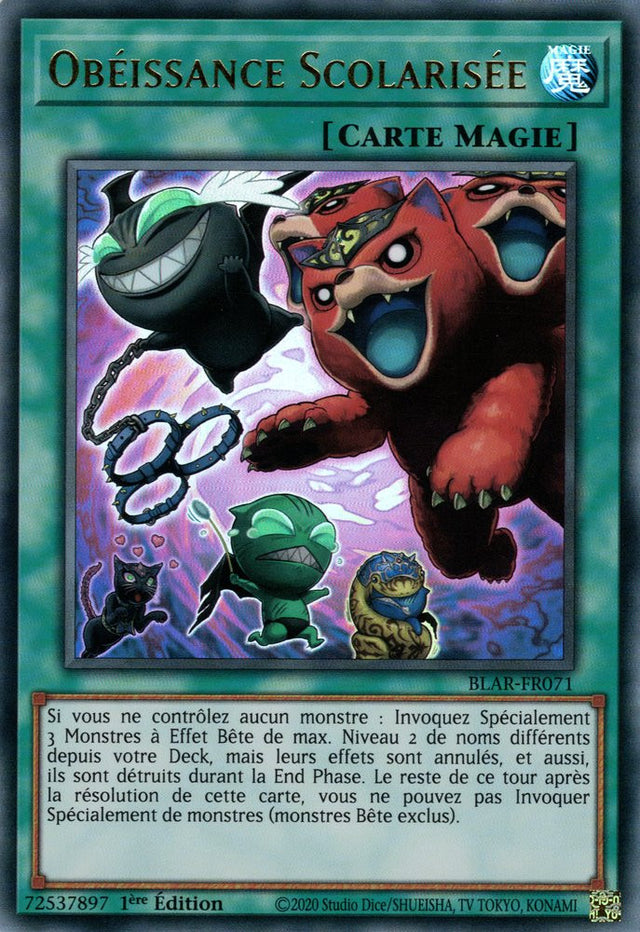 Obéissance Scolarisé : BLAR-FR071 UR