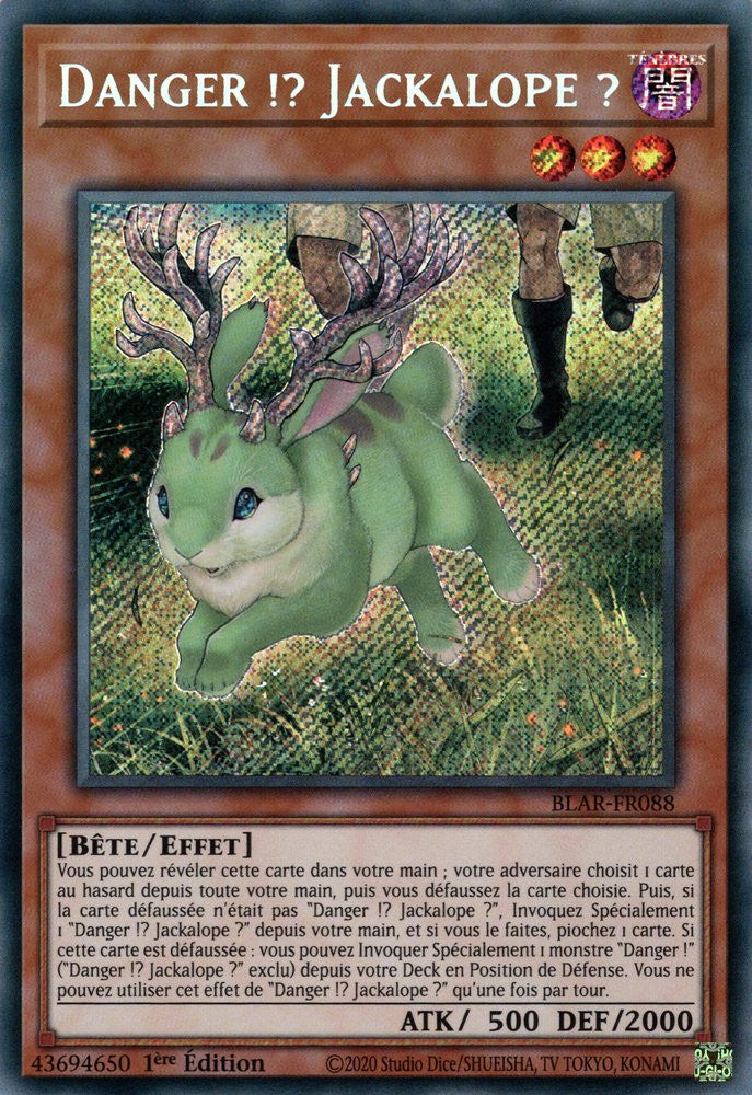 Danger !? Jackalope ? : BLAR-FR088 SE