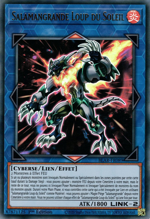 Salamangrande Loup du Soleil : BLAR-FR089 UR