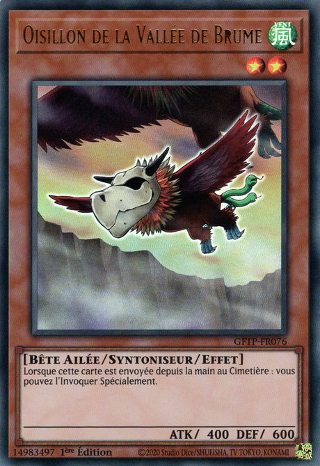 Oisillon de la Vallée de Brume : GFTP-FR076 UR