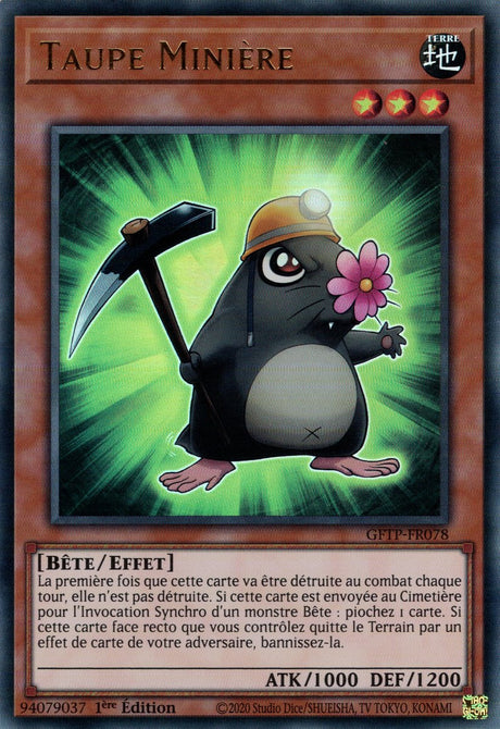 Taupe Minière : GFTP-FR078 UR