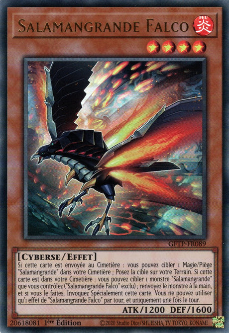 Salamangrande Falco : GFTP-FR089 UR