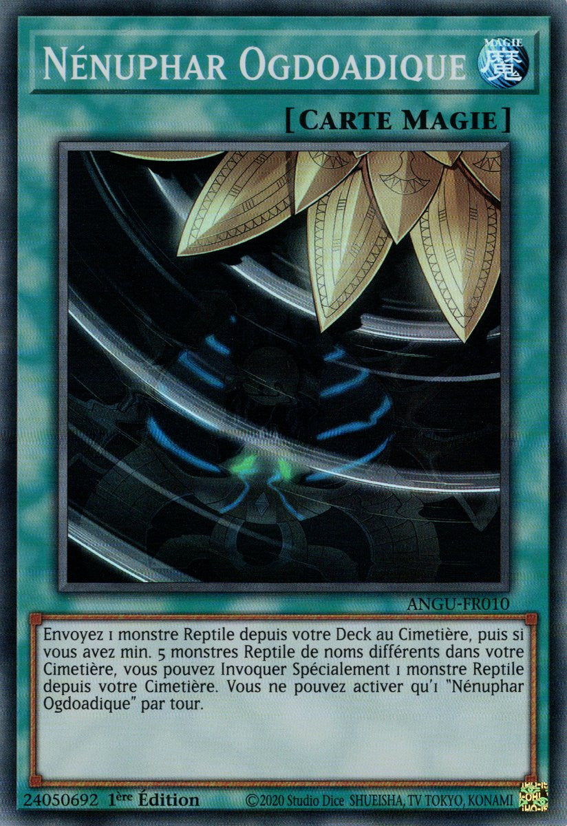 Nénuphar Ogdoadique : ANGU-FR010 SR