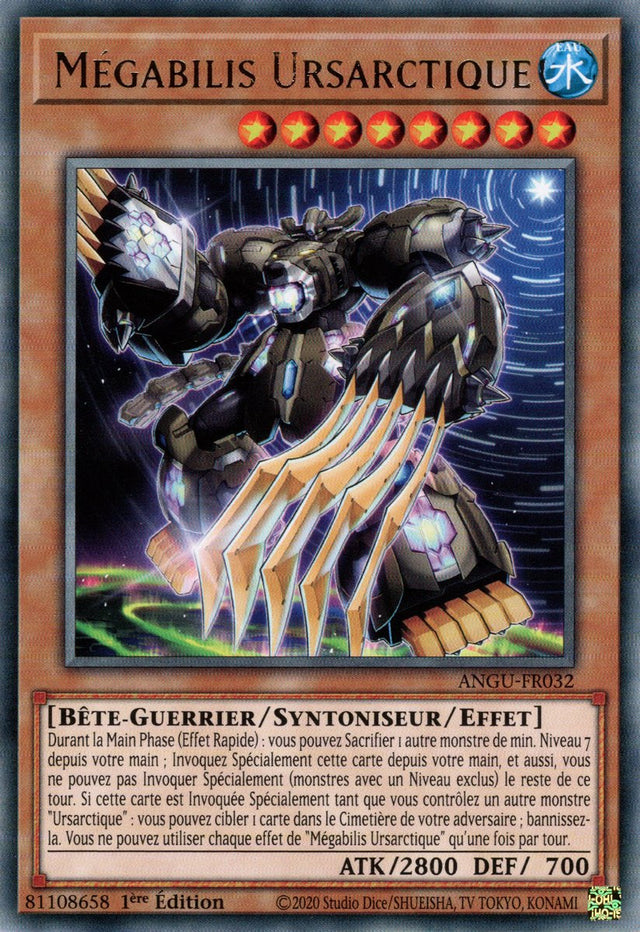 Mégabilis Ursarctique : ANGU-FR032 R