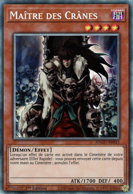 Maître des Crânes : ANGU-FR043 CR