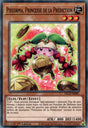 DLCS-FR081 Piècorma, Princesse de la Prédiction