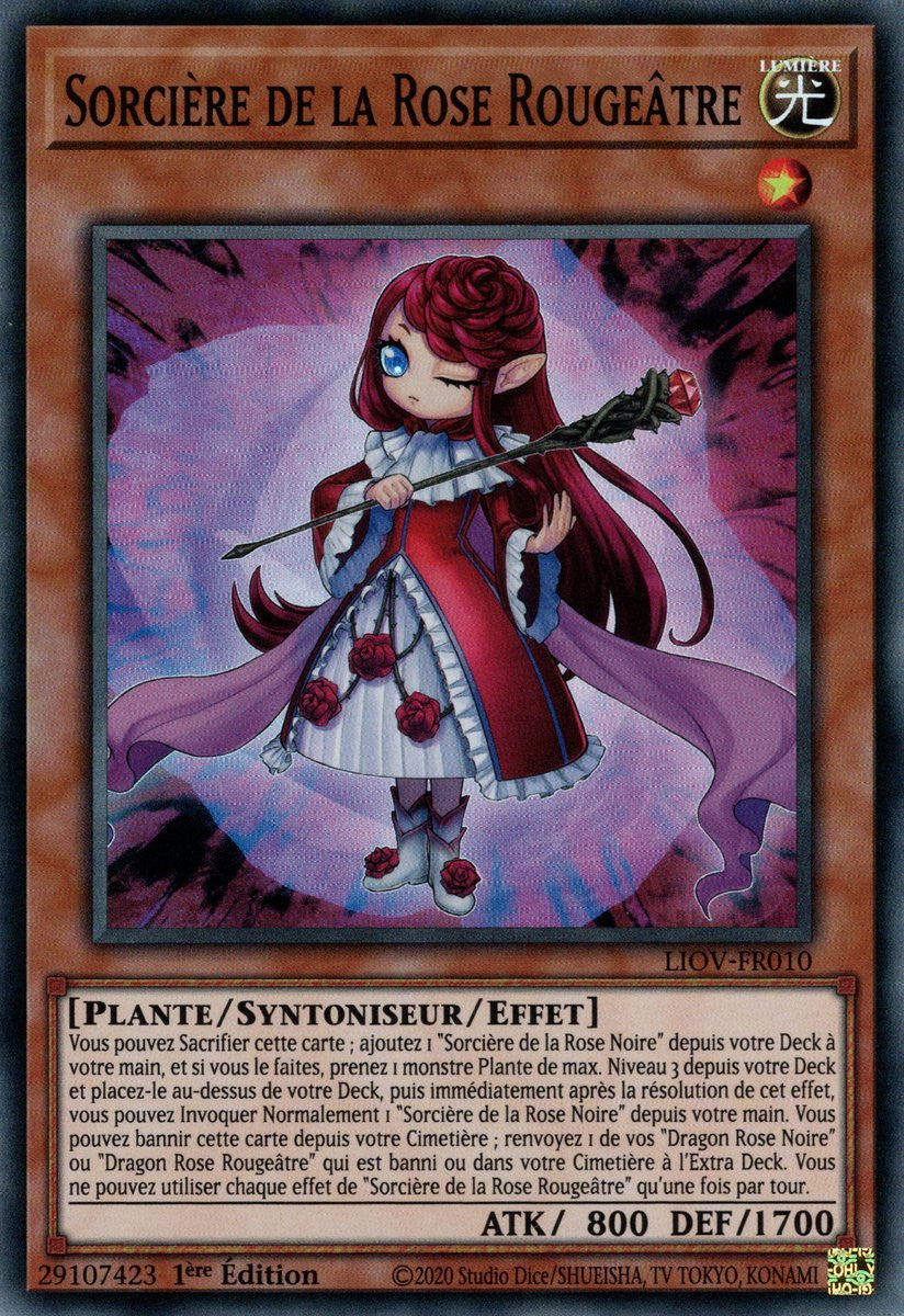 Sorcière de la Rose Rougeâtre : LIOV-FR010 SR