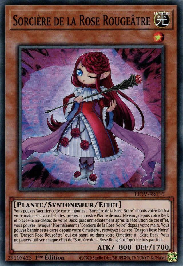 Sorcière de la Rose Rougeâtre : LIOV-FR010 SR