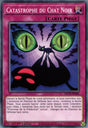 DLCS-FR088 Catastrophe du Chat Noir