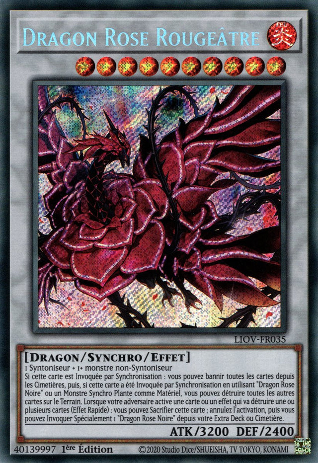 Dragon Rose Rougeâtre : LIOV-FR035 SE