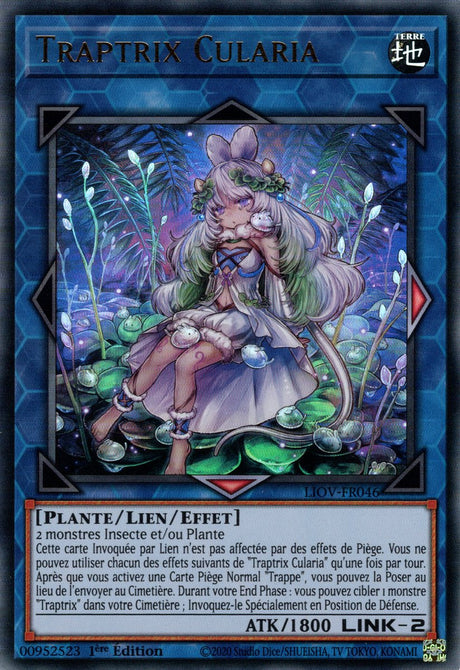 Traptrix Cularia : LIOV-FR046 UR
