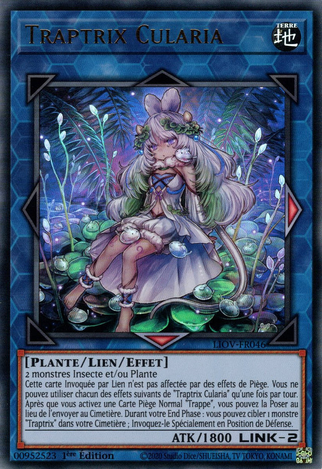 Traptrix Cularia : LIOV-FR046 UR