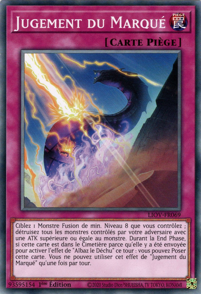Jugement du Marqué : LIOV-FR069 C