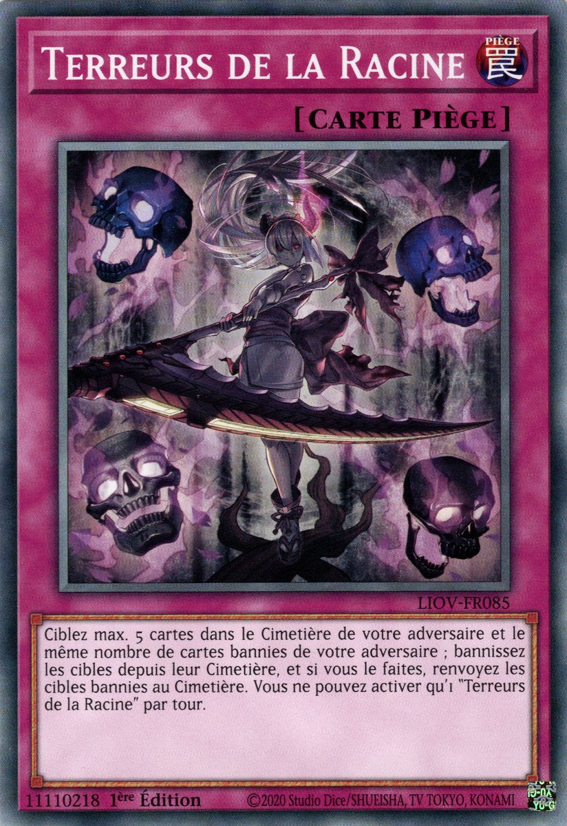 Terreurs de la Racine : LIOV-FR085 C
