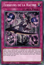 Terreurs de la Racine : LIOV-FR085 C