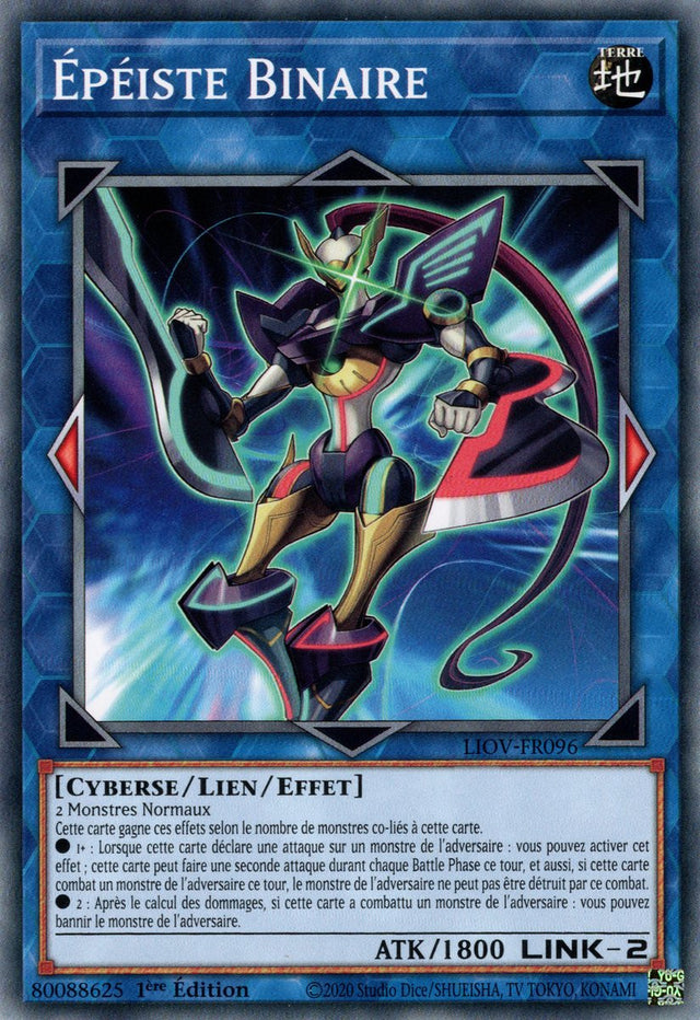 Épéiste Binaire : LIOV-FR096 C