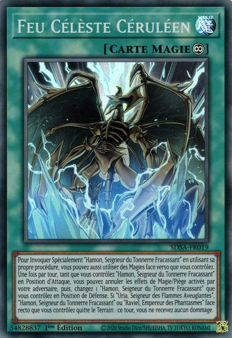 Feu Célèste Céruléen : SDSA-FR019 SR