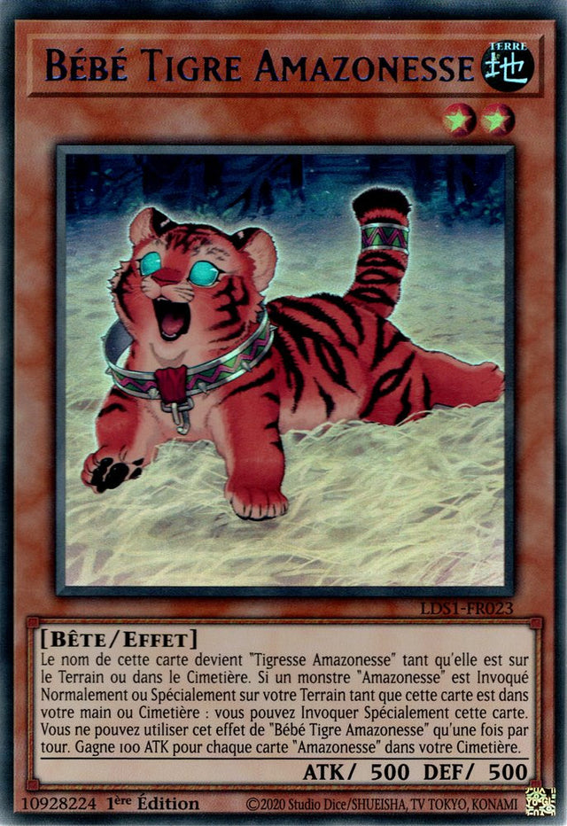 Bébé Tigre Amazonesse : LDS1-FR023 UR (Bleu)