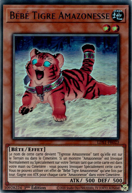 Bébé Tigre Amazonesse : LDS1-FR023 UR (Violet)