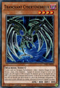 Tranchant Cyberténébreux : LDS1-FR032 C
