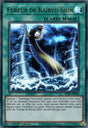 Fureur de Kairyu-Shin : LDS1-FR120 UR
