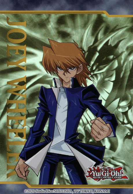 Jeton Joey Wheeler : LDS1-FRT01 UR