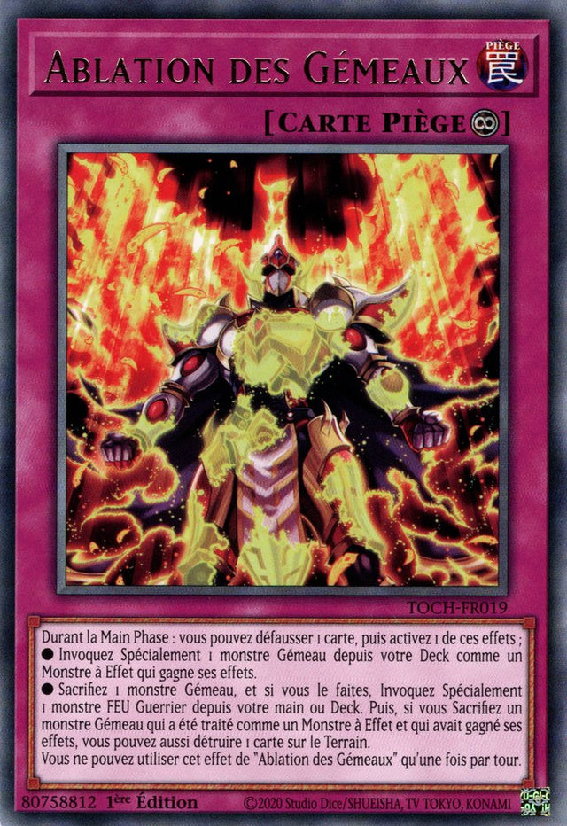 Ablation des Gémeaux : TOCH-FR019 R