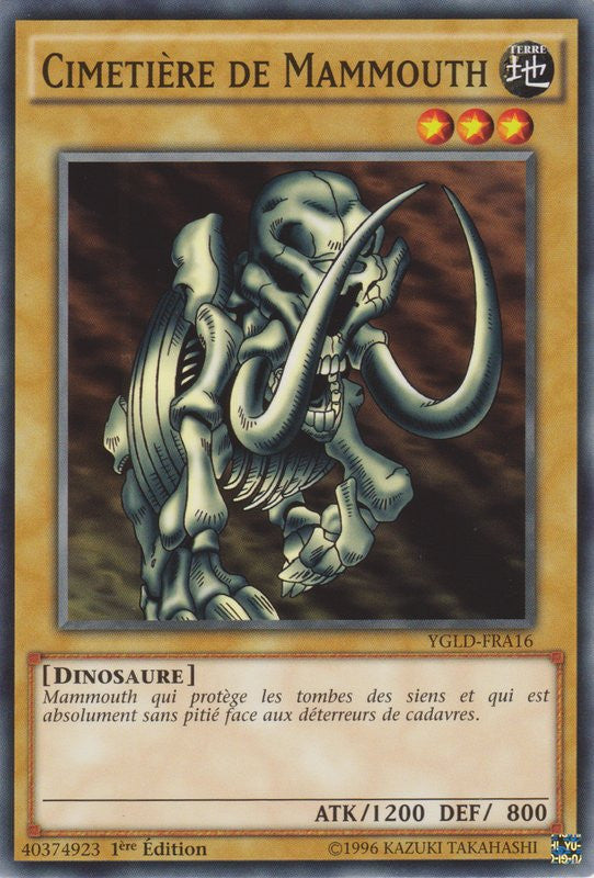 Cimetière de Mammouth : YGLD-FRA16 C