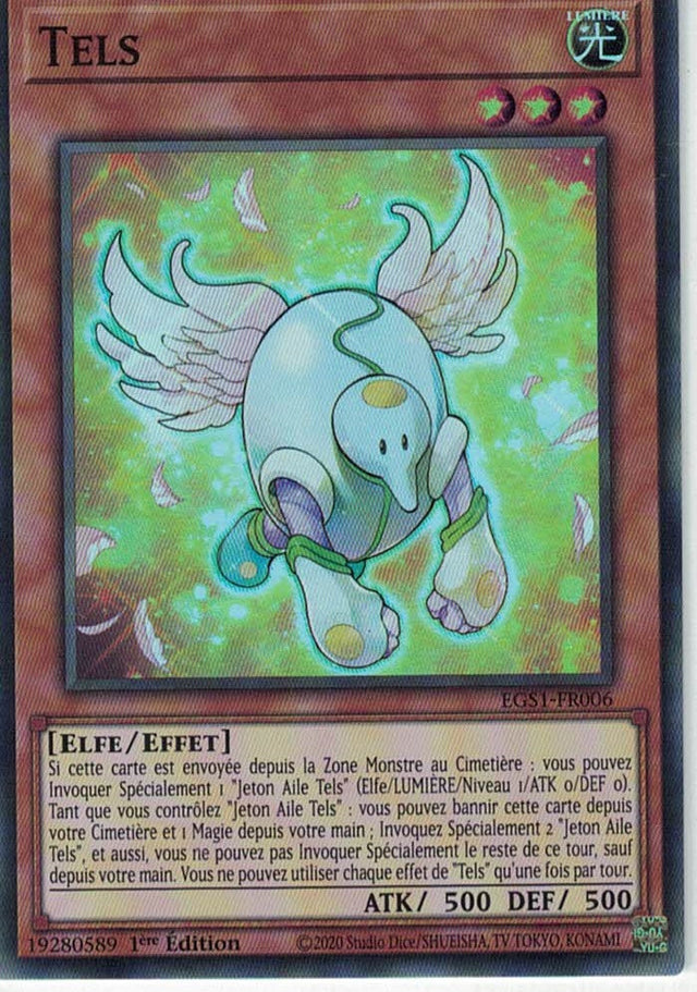 Tels : EGS1-FR006 SR