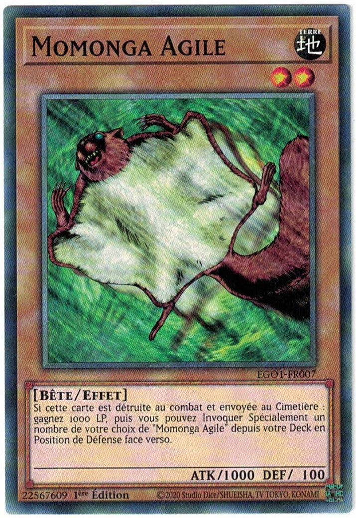 Momonga Agile : EGO1-FR007 C