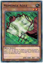 Momonga Agile : EGO1-FR007 C