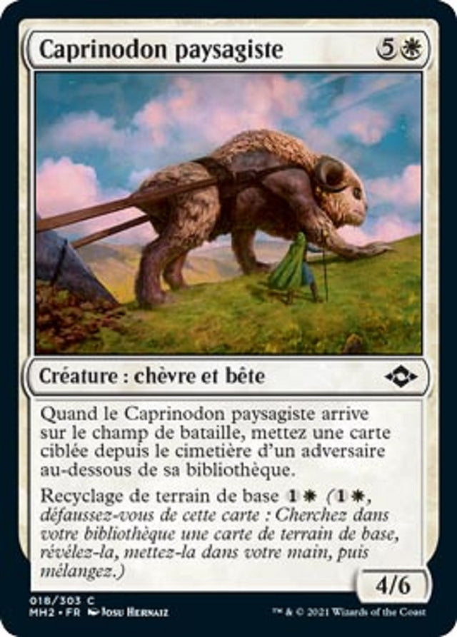 Caprinodon paysagiste : MH2 018/303 C