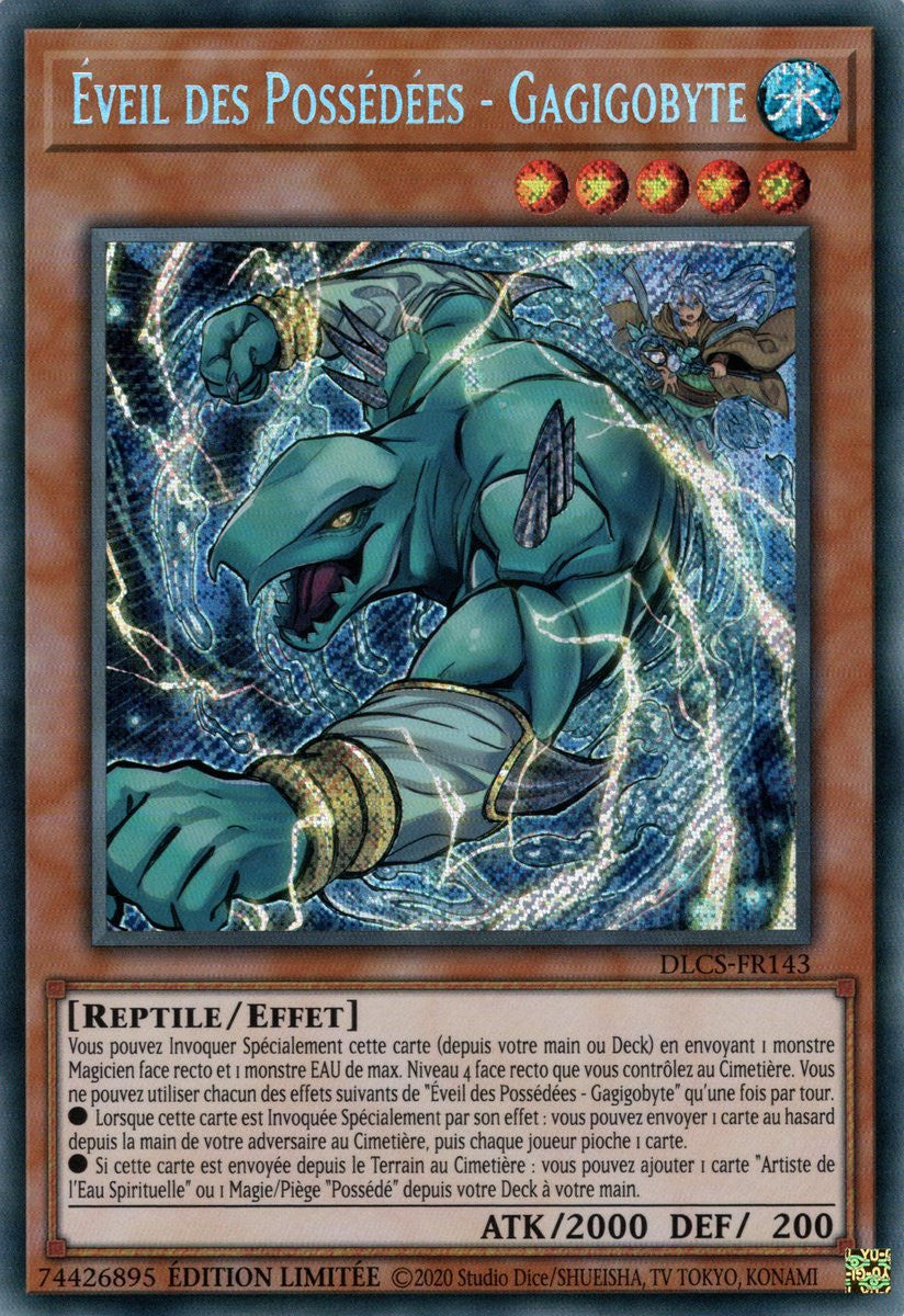 DLCS-FR143 Éveil des Possédées - Gagigobyte