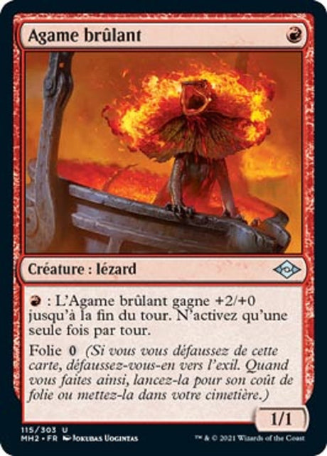 Agame brûlant : MH2 115/303 U