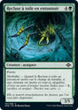 Recluse à toile en entonnoir : MH2 161/303 C