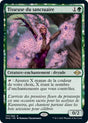 Tisseuse du sanctuaire : MH2 171/303 C