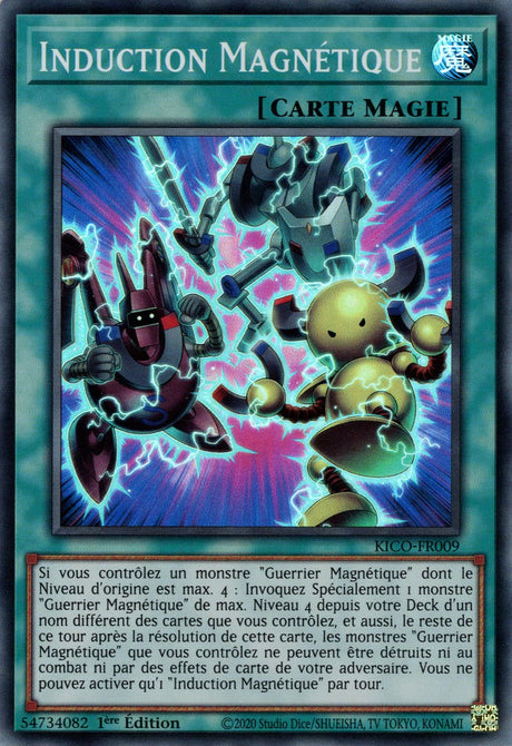 Induction Magnétique : KICO-FR009 SR
